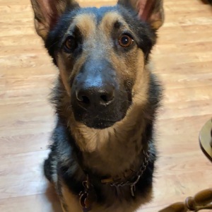 Fundraising Page: Darian Partlow